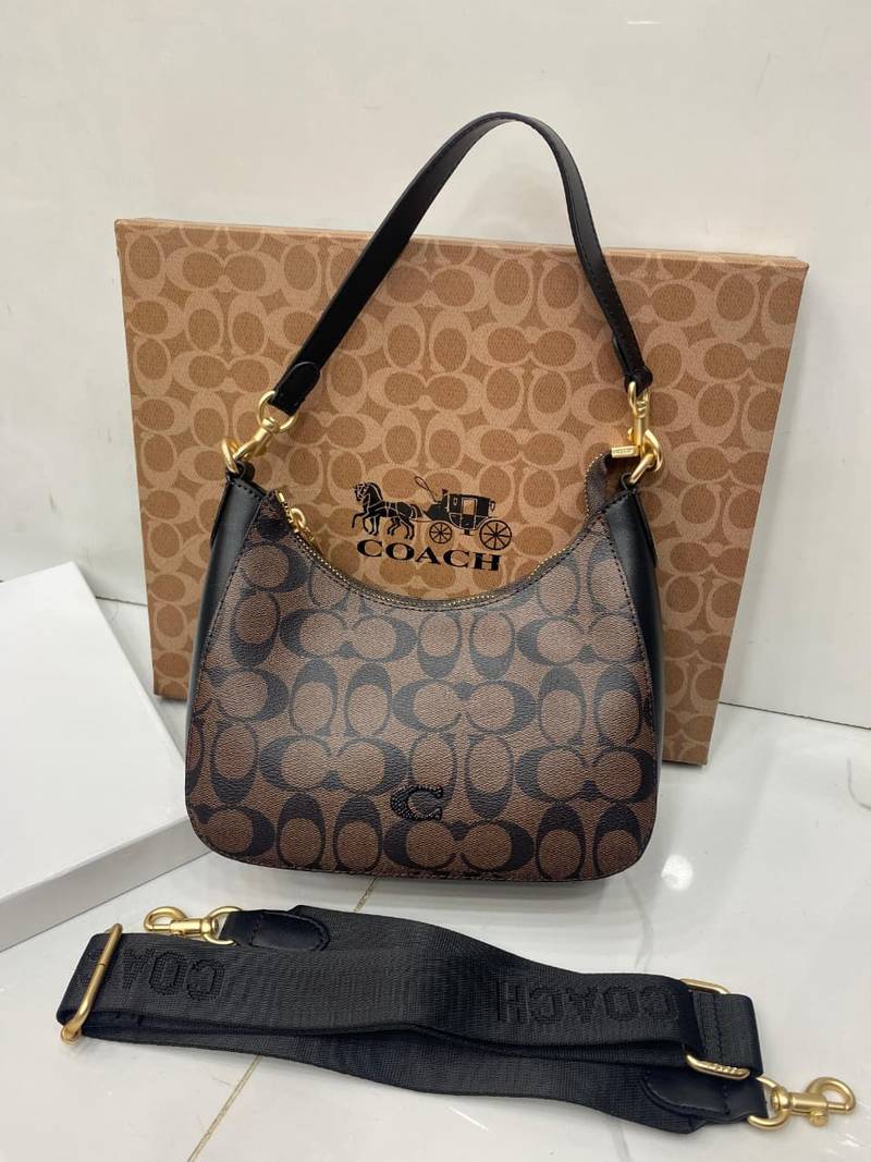 Coach Teri Shoulder Bag Master Copy in Pakistan – Signature Canvas Replica
