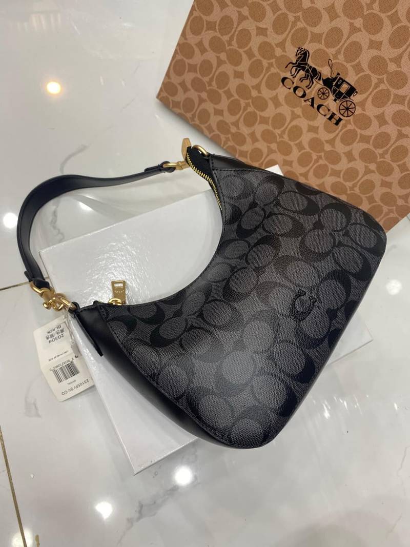 Coach Teri Shoulder Bag Master Copy in Pakistan – Signature Canvas Replica