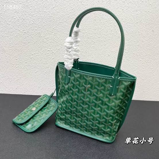 Goyard Bags Master Copy in Pakistan – Premium Mini Tote Bag with Pouch
