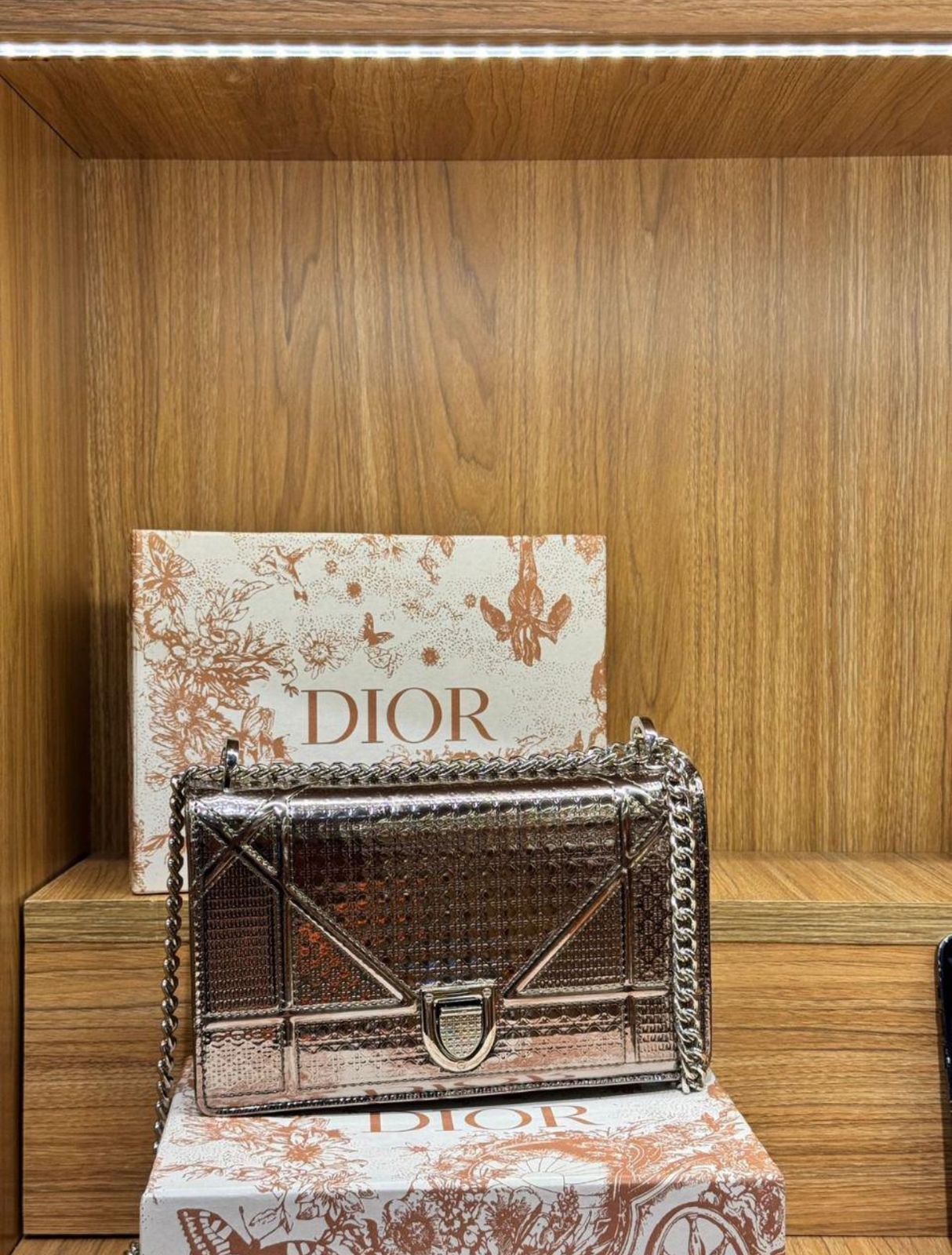 DIOR Mini Bag Premium Replica | AAA Mirror Copy Dior Bag | Women’s Designer Bag in Pakistan