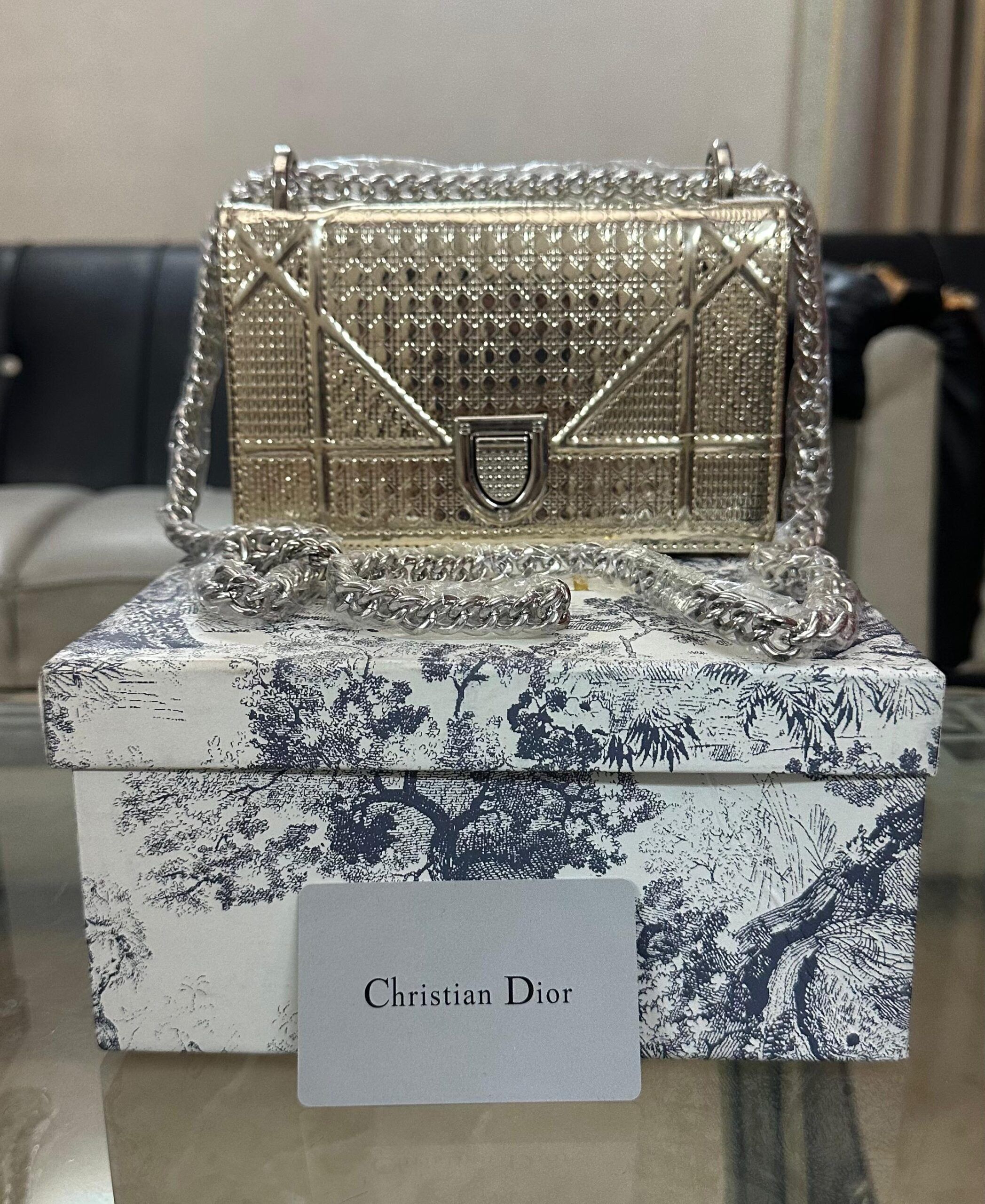 DIOR Mini Bag Premium Replica | AAA Mirror Copy Dior Bag | Women’s Designer Bag in Pakistan