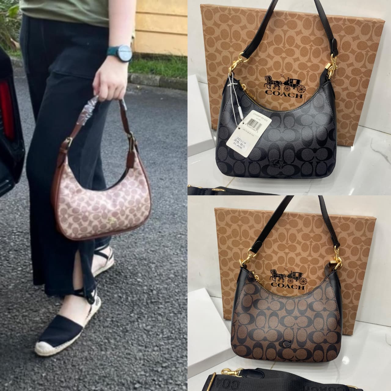 Coach Teri Shoulder Bag Master Copy in Pakistan – Signature Canvas Replica