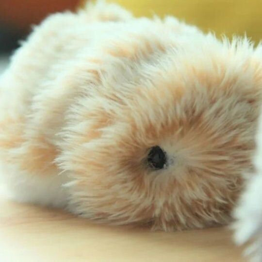 Casio Moflin Smart Emotional Pet Moflin AI Pet Robot in Pakistan