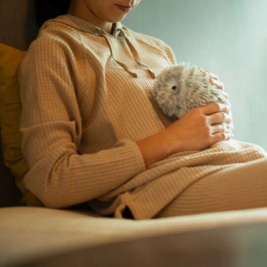 Casio Moflin Smart Emotional Pet Moflin AI Pet Robot in Pakistan