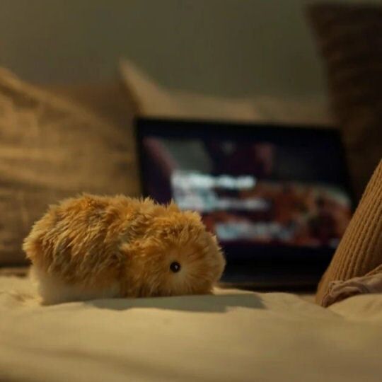 Casio Moflin Smart Emotional Pet Moflin AI Pet Robot in Pakistan