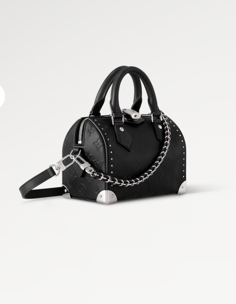 LOUIS VUITTON Speedy Trunk 20 Handbag in Black